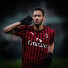 填补了这一 填补了这一