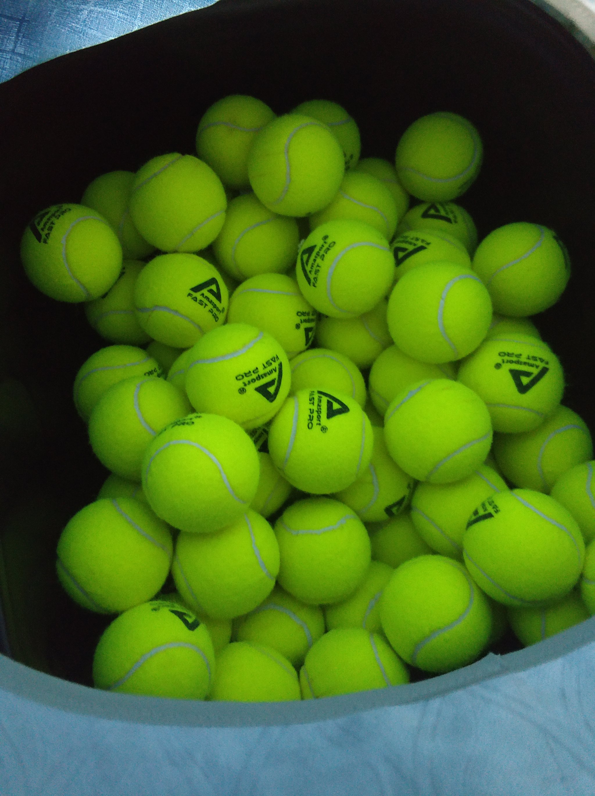 一个赛季中 一个赛季中