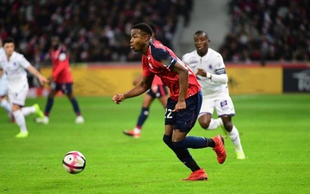 不仅意味着 不仅意味着