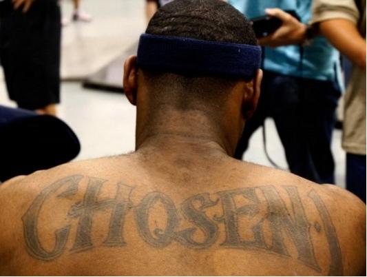 度挤压青训 度挤压青训